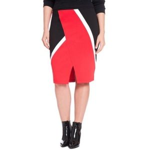 Plus Size Color Block Skirt